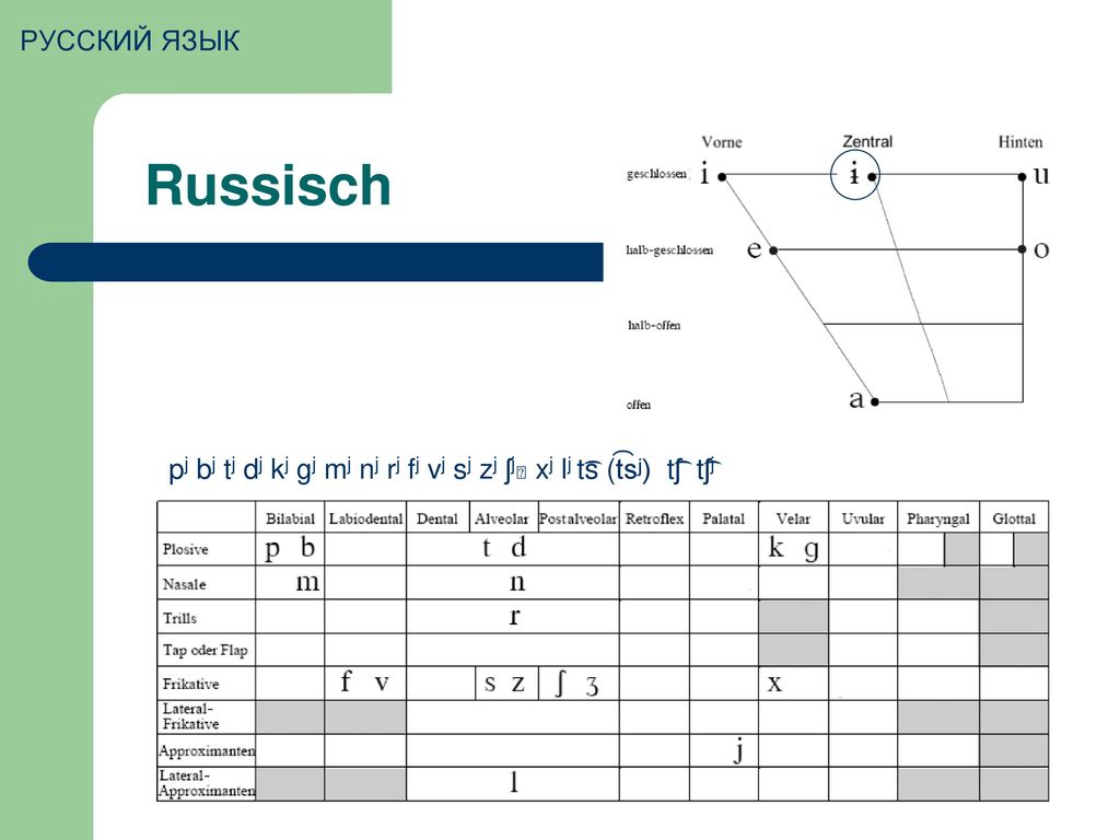 РУССКИЙ ЯЗЫК Russisch pj bj tj dj kj gj mj nj rj fj vj sj zj ʃj xj lj t͡s (t͡sʲ) t͡ʃ t͡ʃj