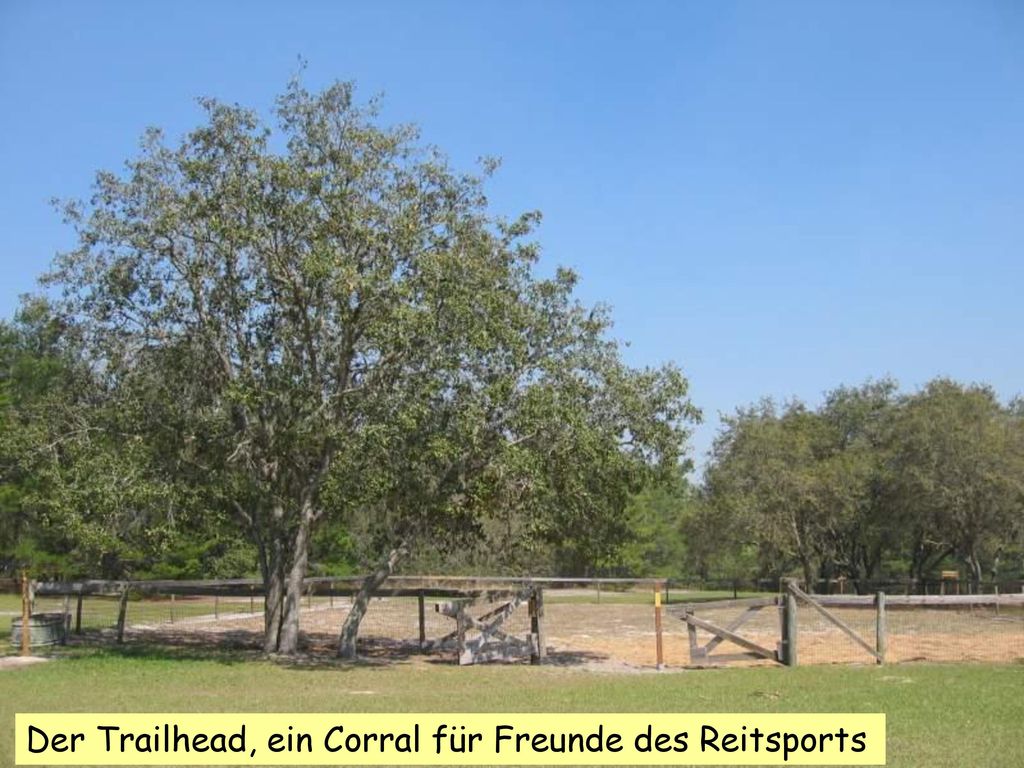 Der Trailhead, ein Corral für Freunde des Reitsports