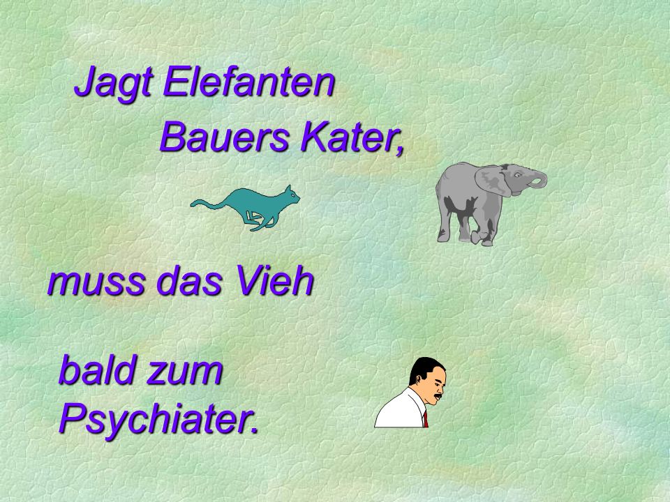 Jagt Elefanten Bauers Kater, muss das Vieh bald zum Psychiater.