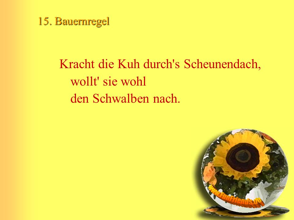 15. Bauernregel Kracht die Kuh durch s Scheunendach, wollt sie wohl den Schwalben nach.