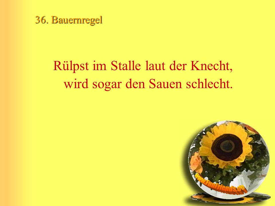 Rülpst im Stalle laut der Knecht, wird sogar den Sauen schlecht.