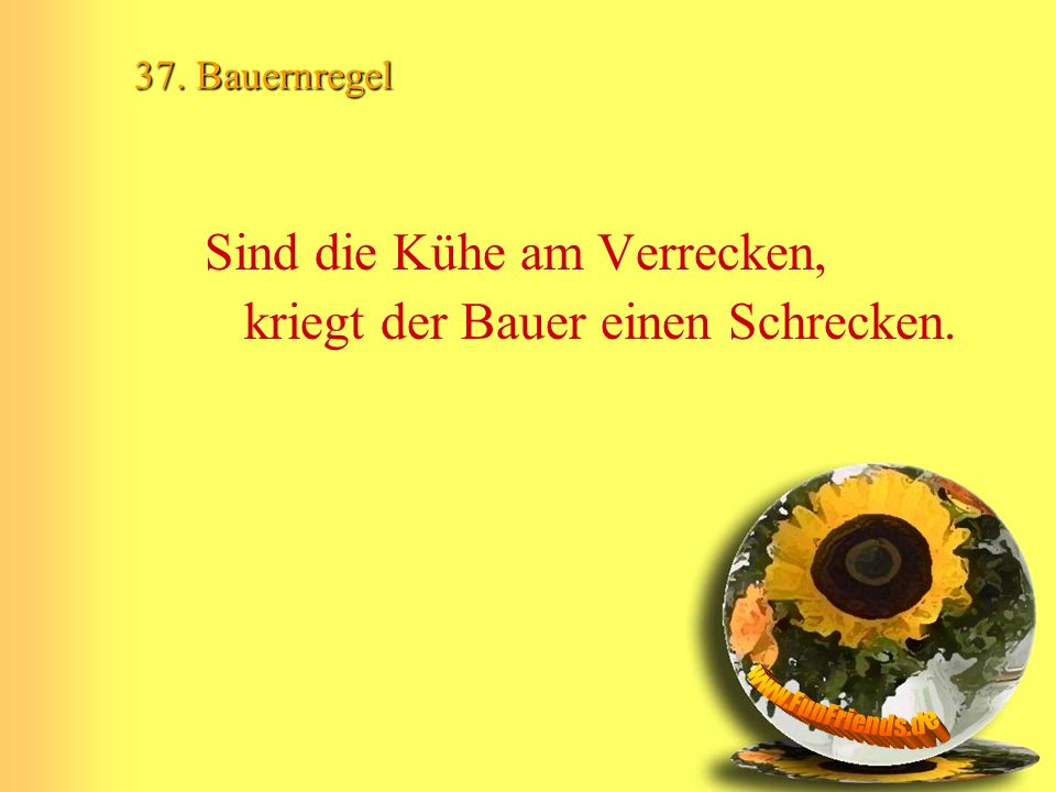 Sind die Kühe am Verrecken, kriegt der Bauer einen Schrecken.