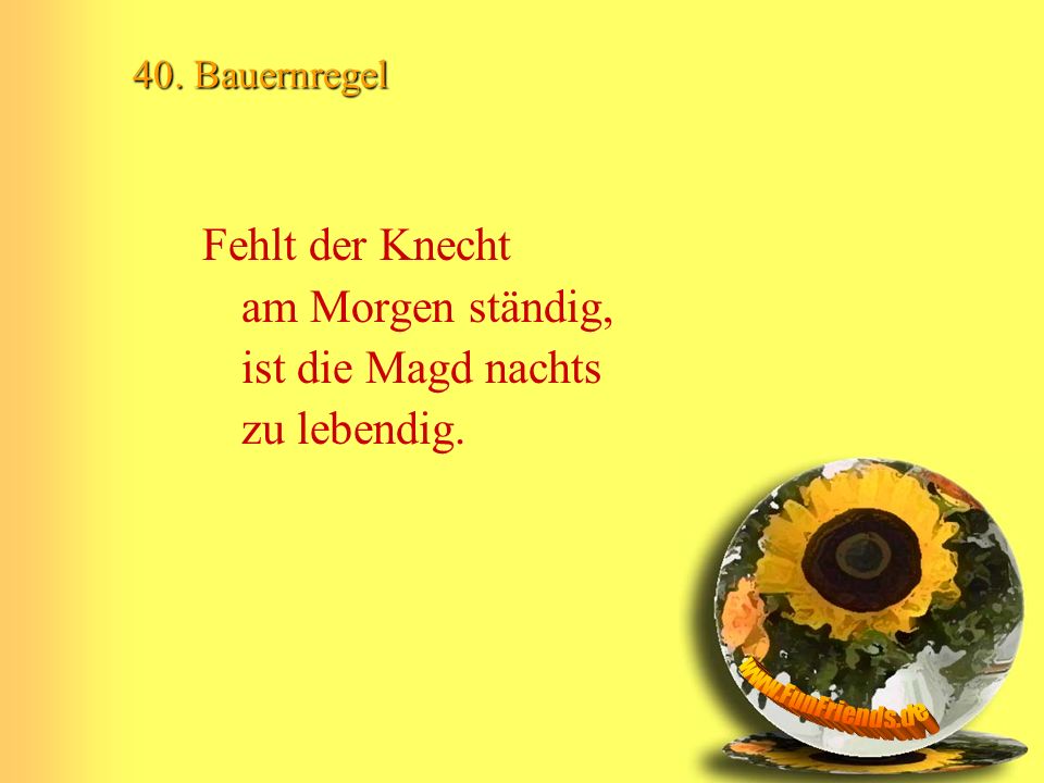 Fehlt der Knecht am Morgen ständig, ist die Magd nachts zu lebendig.
