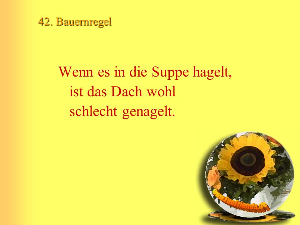 Wenn es in die Suppe hagelt, ist das Dach wohl schlecht genagelt.