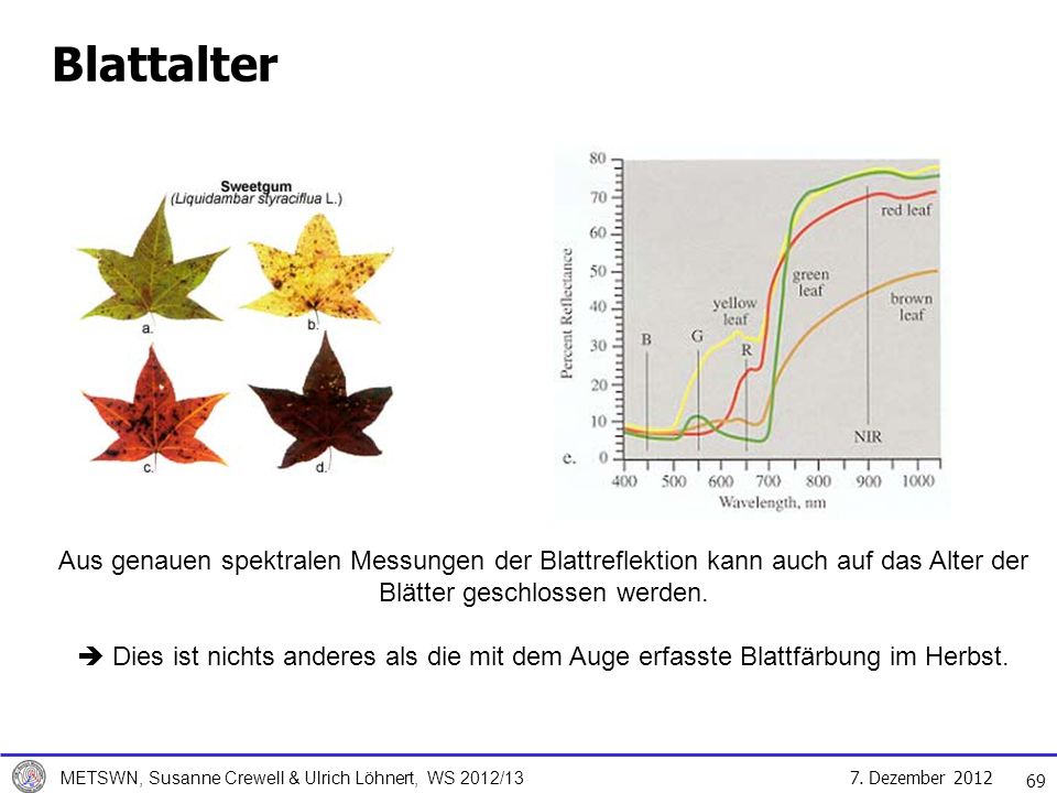 Blattalter Aus genauen spektralen Messungen der Blattreflektion kann auch auf das Alter der Blätter geschlossen werden.