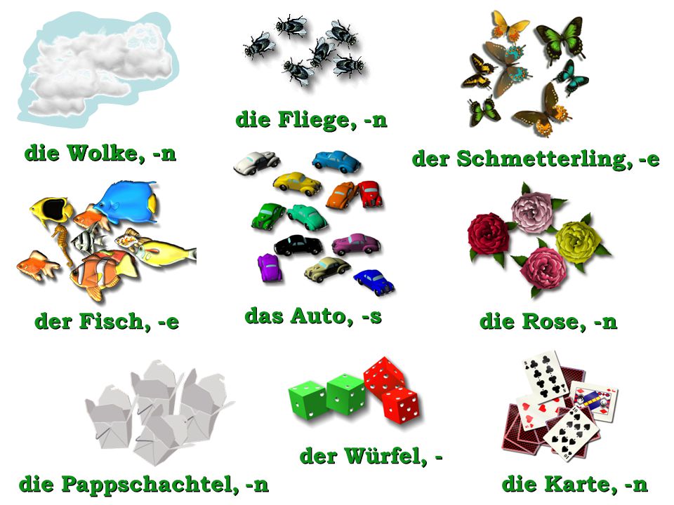 die Fliege, -n die Wolke, -n. die Wolke, -n. der Schmetterling, -e. das Auto, -s. der Fisch, -e.
