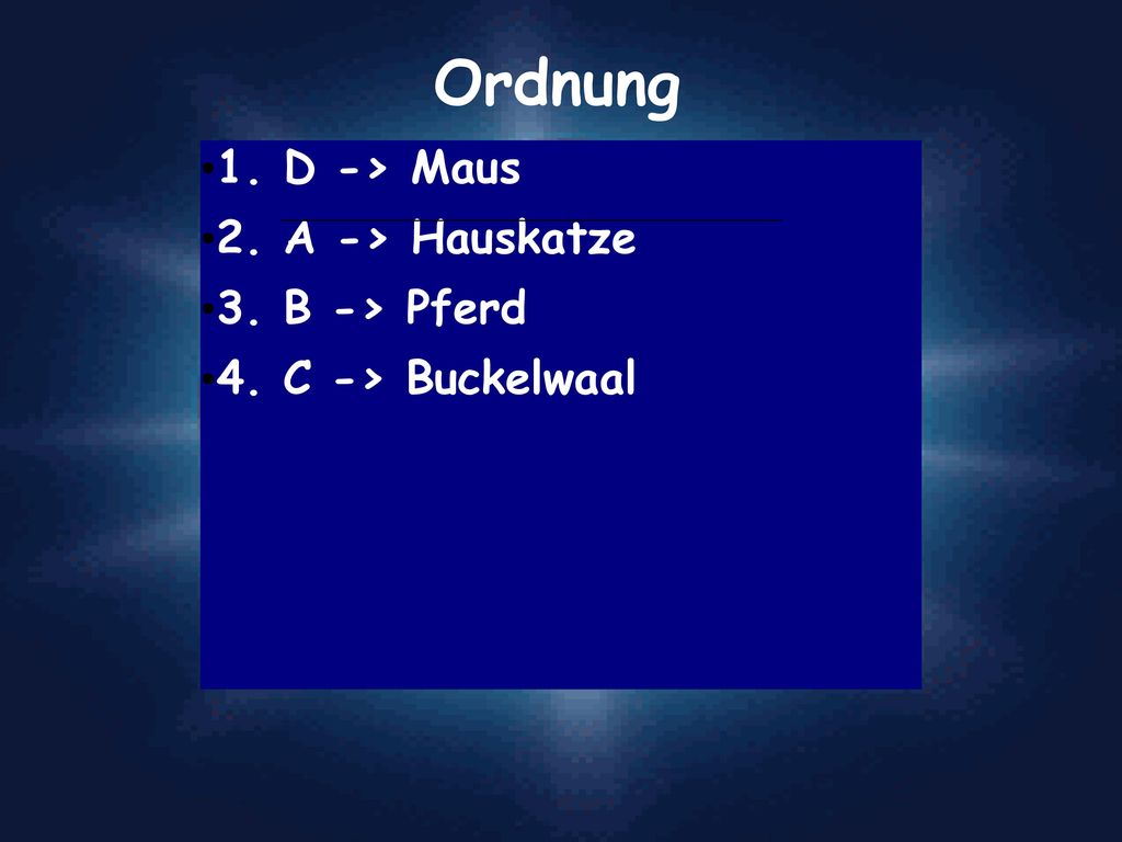 Ordnung 1. D -> Maus 2. A -> Hauskatze 3. B -> Pferd
