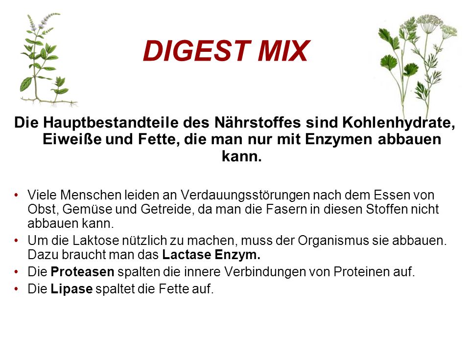 DIGEST MIX Die Hauptbestandteile des Nährstoffes sind Kohlenhydrate, Eiweiße und Fette, die man nur mit Enzymen abbauen kann.