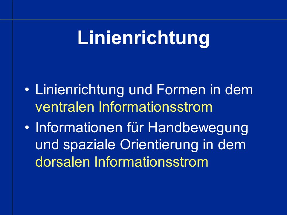 Linienrichtung Linienrichtung und Formen in dem ventralen Informationsstrom.