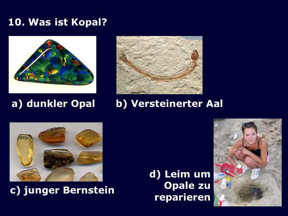 10. Was ist Kopal. a) dunkler Opal. b) Versteinerter Aal.
