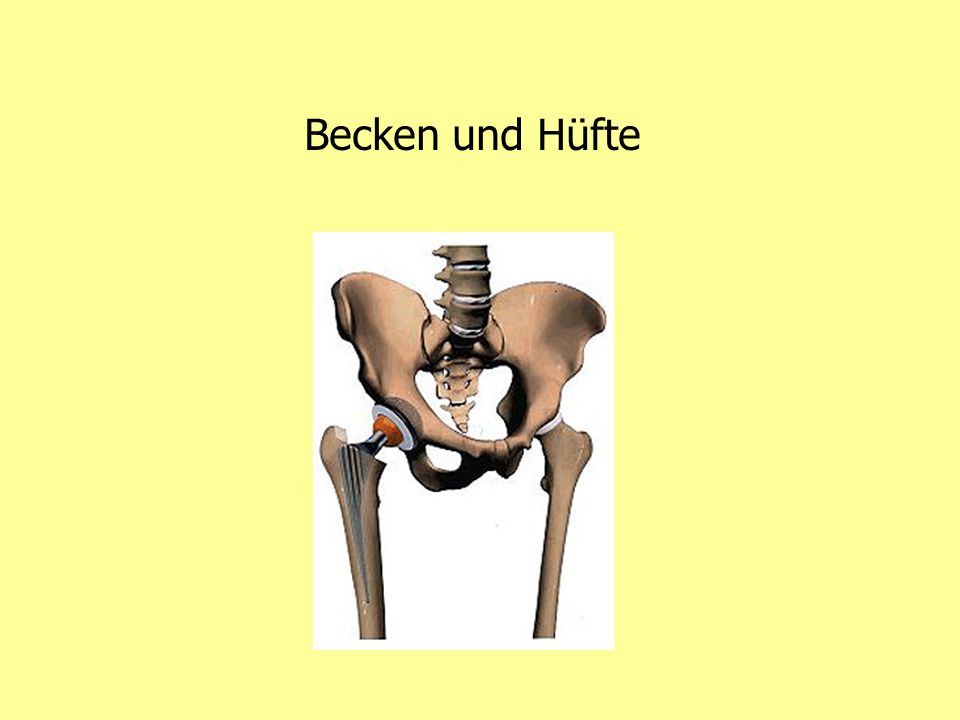 Becken und Hüfte