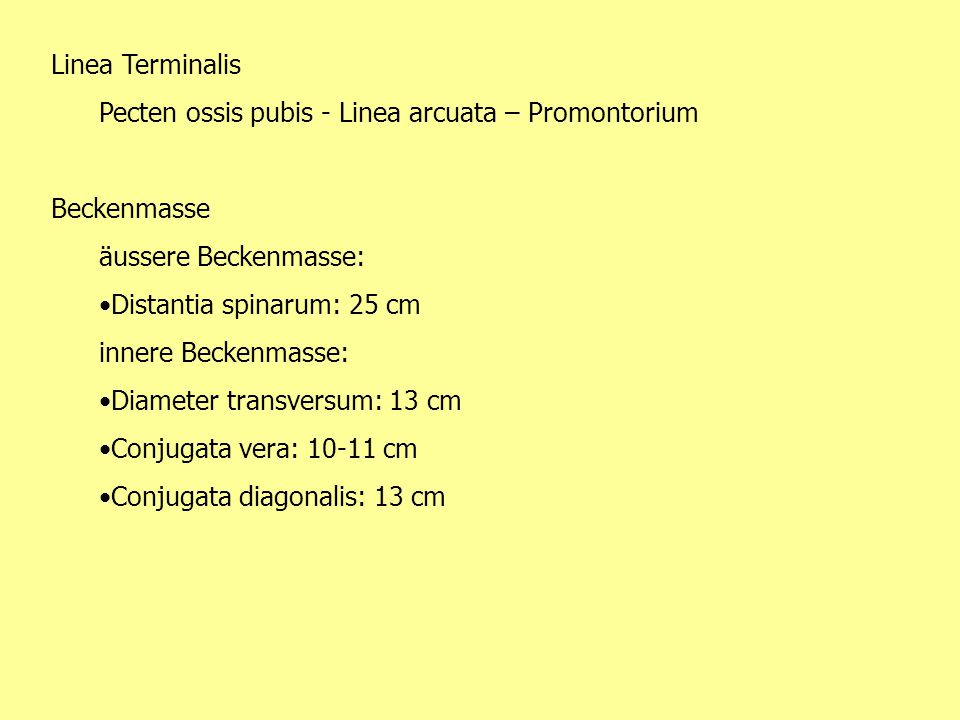 Linea Terminalis Pecten ossis pubis - Linea arcuata – Promontorium. Beckenmasse. äussere Beckenmasse: