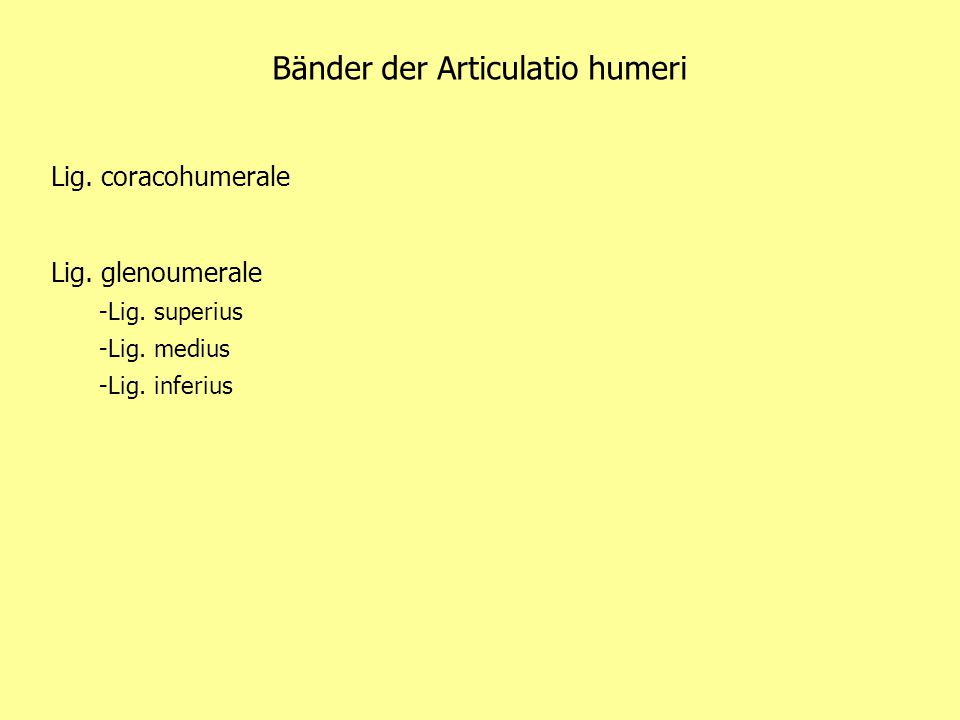 Bänder der Articulatio humeri