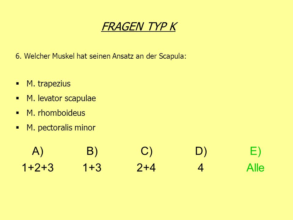 FRAGEN TYP K A) B) C) D) E) Alle M. trapezius