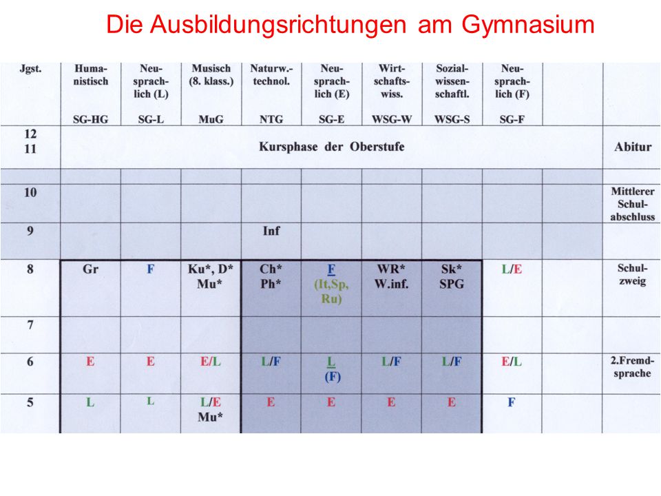 Die Ausbildungsrichtungen am Gymnasium