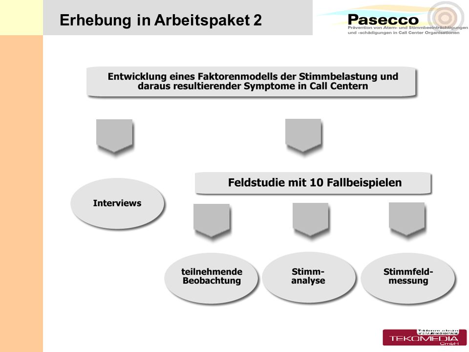 Erhebung in Arbeitspaket 2