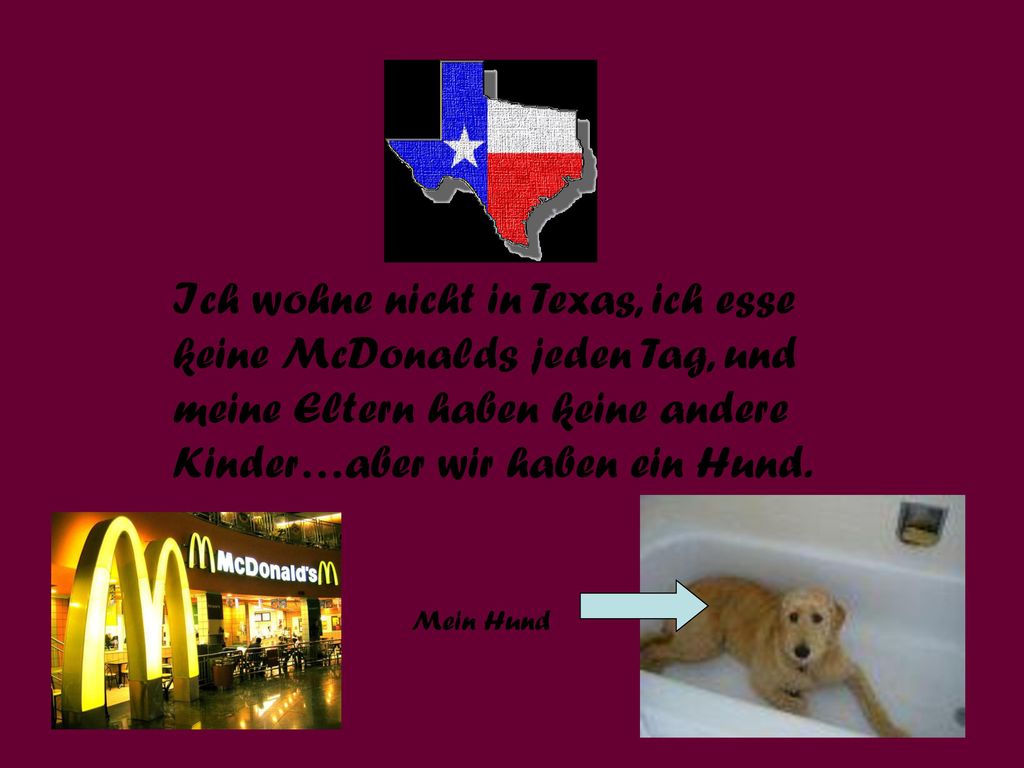 Ich wohne nicht in Texas, ich esse keine McDonalds jeden Tag, und meine Eltern haben keine andere Kinder…aber wir haben ein Hund.