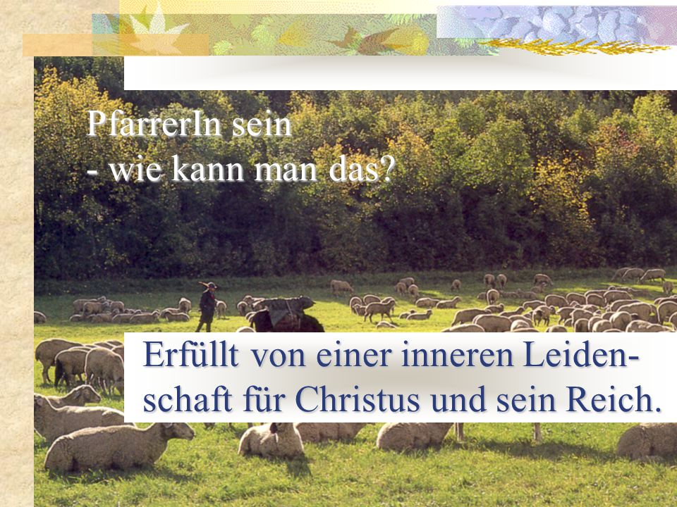 PfarrerIn sein - wie kann man das