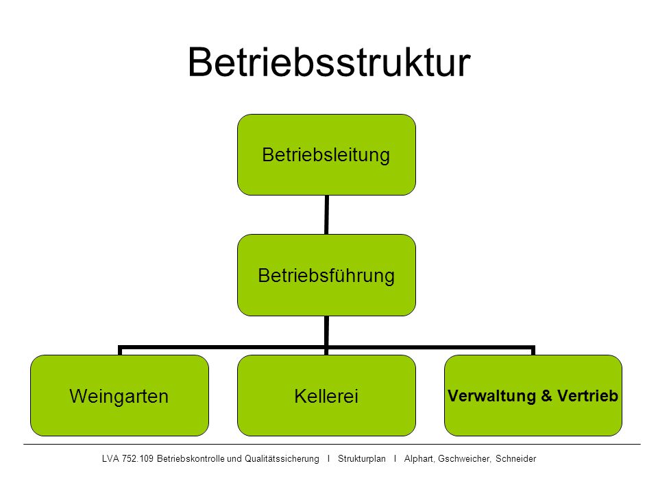 Betriebsstruktur LVA Betriebskontrolle und Qualitätssicherung I Strukturplan I Alphart, Gschweicher, Schneider.