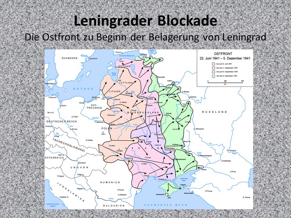 Leningrader Blockade Die Ostfront zu Beginn der Belagerung von Leningrad
