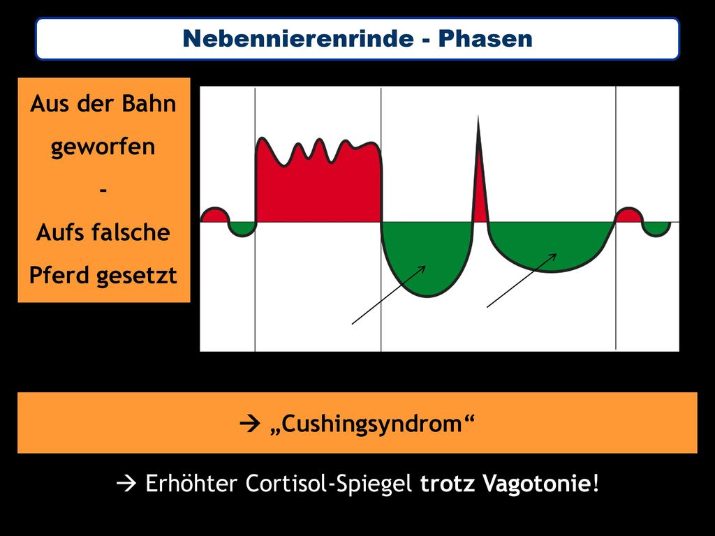 Aus der Bahn geworfen - Aufs falsche Pferd gesetzt  „Cushingsyndrom