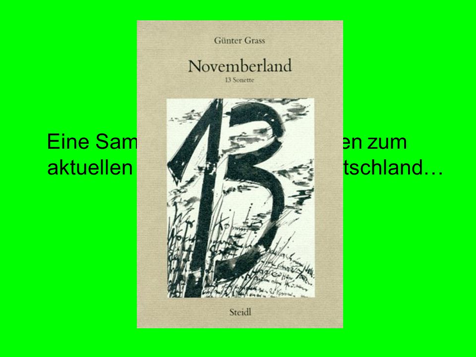 Novemberland Eine Sammlung vom 13 Sonetten zum aktuellen Zeitgeschehen in Deutschland…