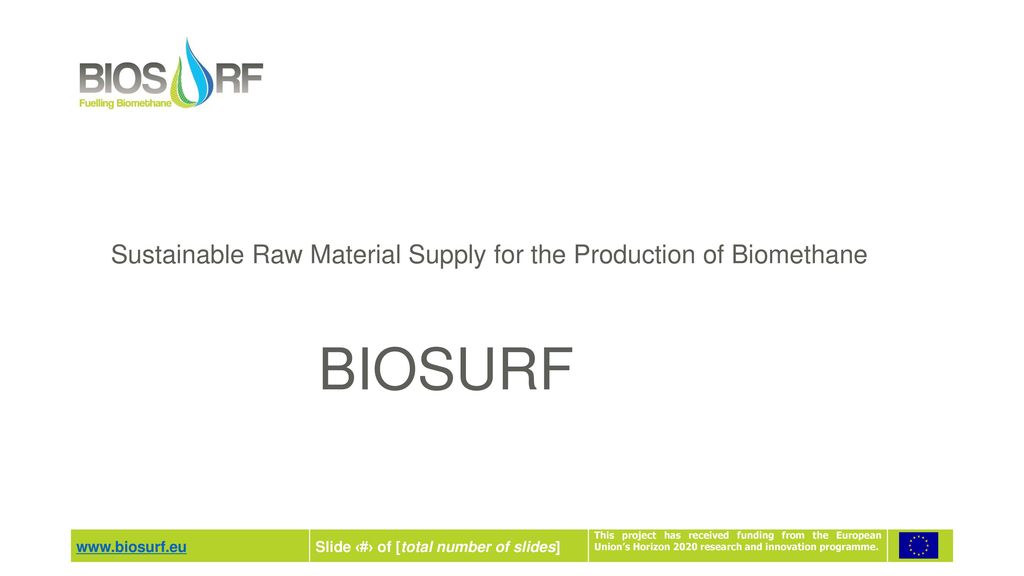 Sustainable Raw Material Supply for the Production of Biomethane