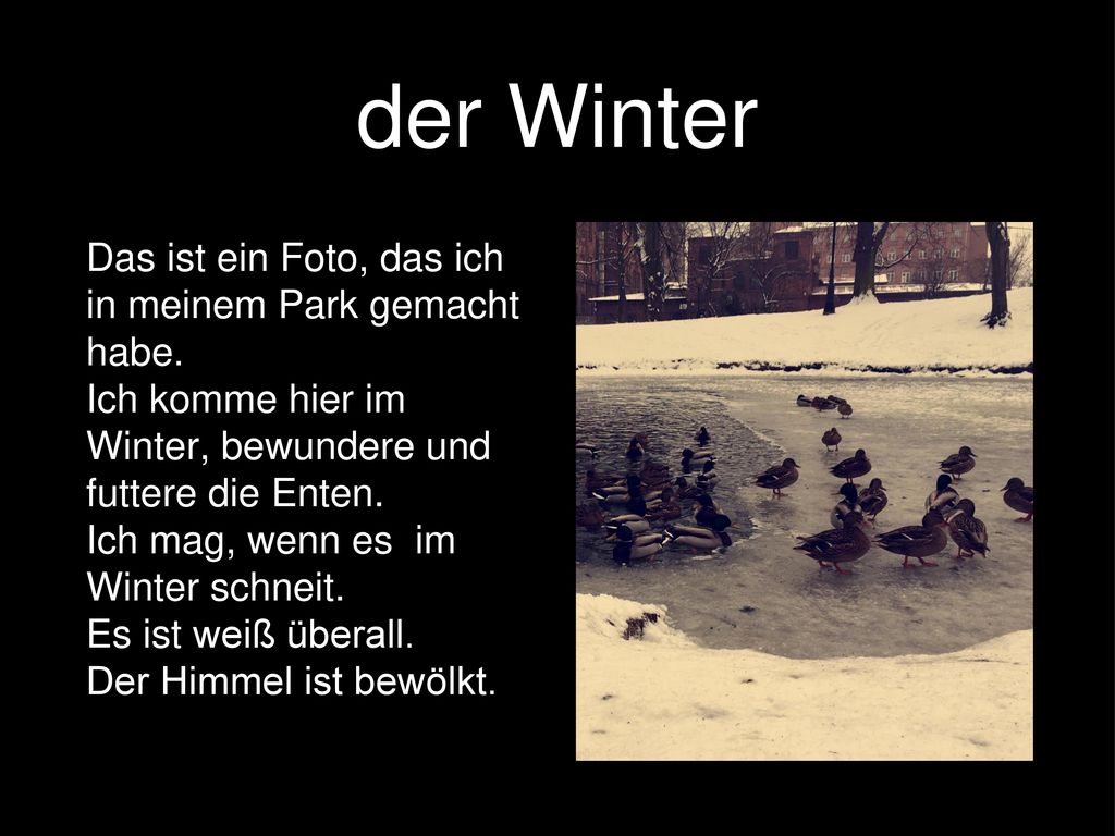 der Winter Das ist ein Foto, das ich in meinem Park gemacht habe.