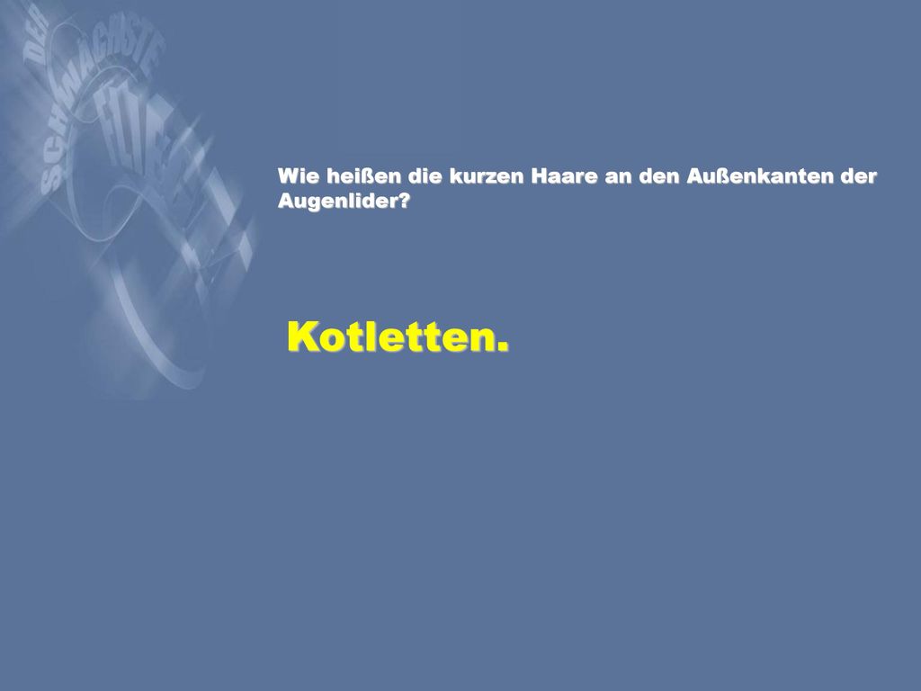 Wie heißen die kurzen Haare an den Außenkanten der Augenlider