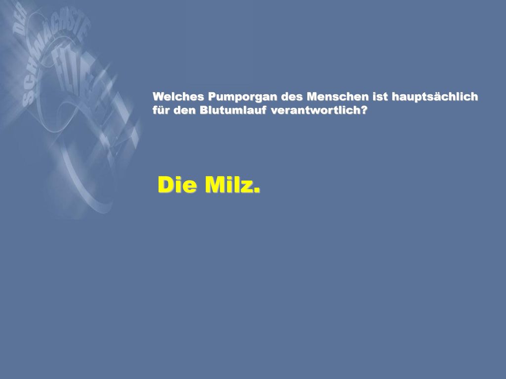 Welches Pumporgan des Menschen ist hauptsächlich für den Blutumlauf verantwortlich
