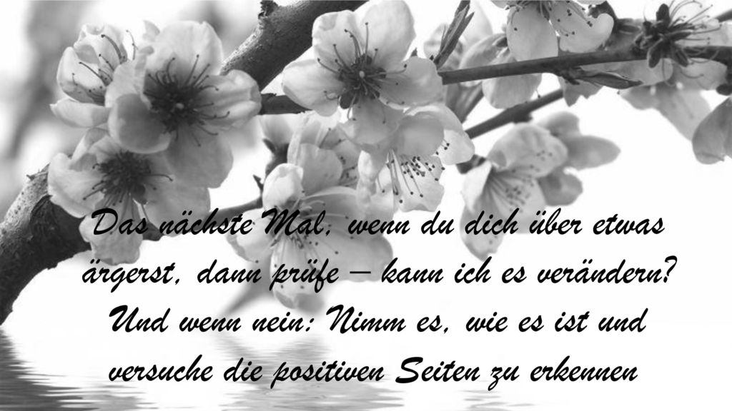 Das nächste Mal, wenn du dich über etwas ärgerst, dann prüfe – kann ich es verändern.