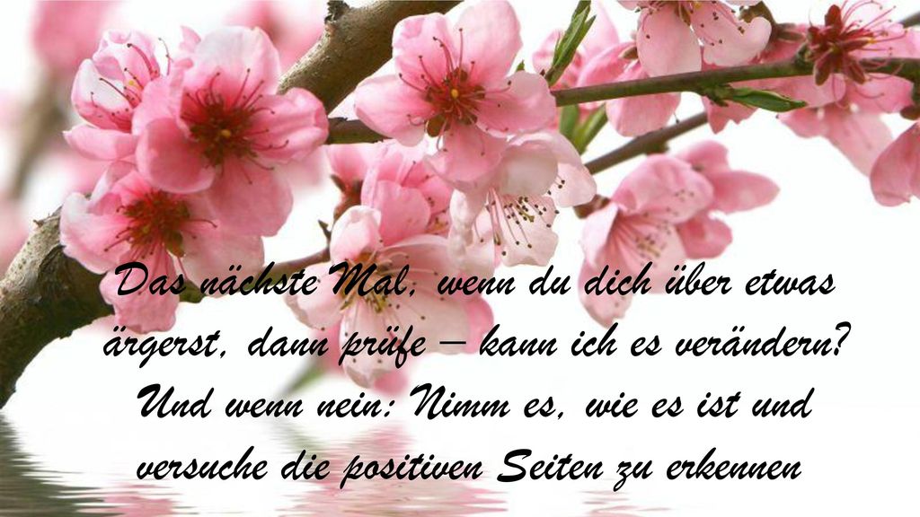 Das nächste Mal, wenn du dich über etwas ärgerst, dann prüfe – kann ich es verändern Und wenn nein: Nimm es, wie es ist und versuche die positiven Seiten zu erkennen.