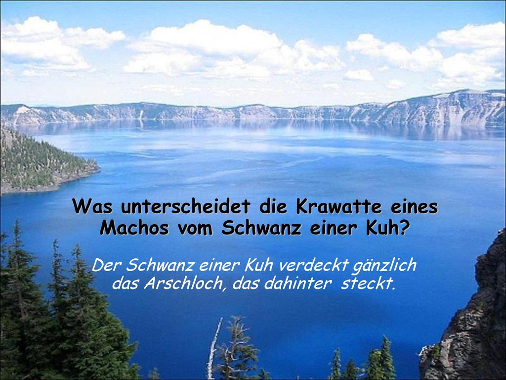 Was unterscheidet die Krawatte eines Machos vom Schwanz einer Kuh