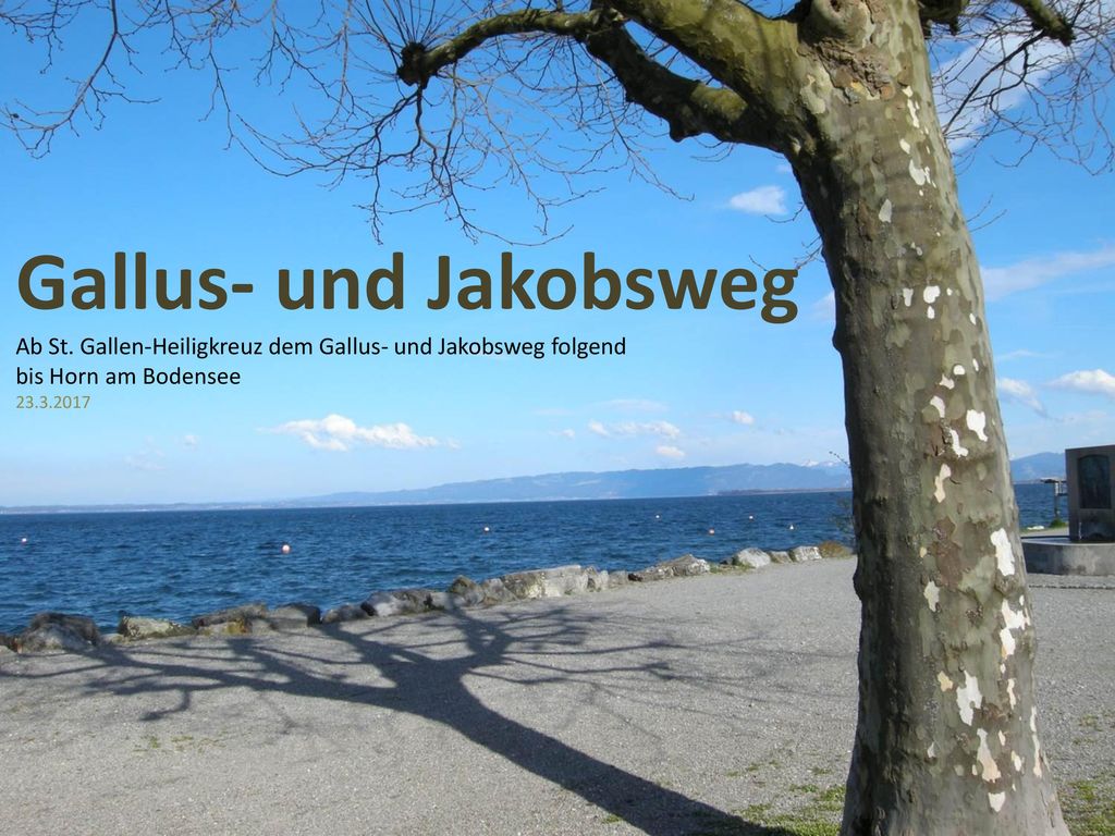 Gallus- und Jakobsweg Ab St. Gallen-Heiligkreuz dem Gallus- und Jakobsweg folgend. bis Horn am Bodensee.