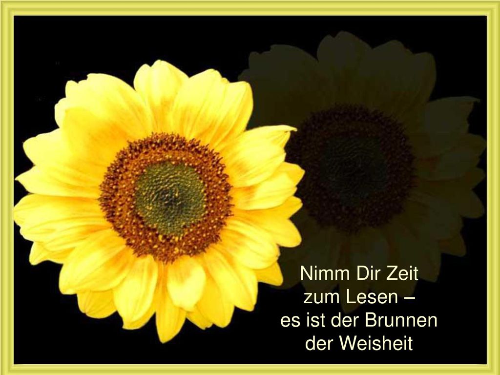 Nimm Dir Zeit zum Lesen – es ist der Brunnen der Weisheit