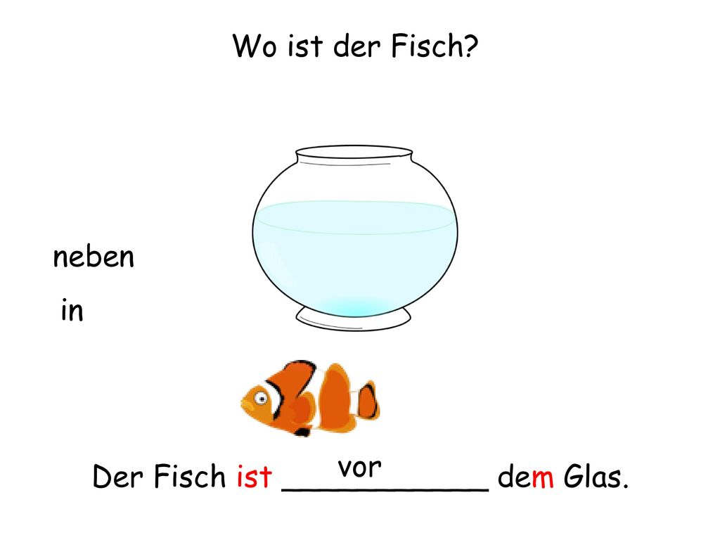 Wo ist der Fisch neben in vor Der Fisch ist ___________ dem Glas.