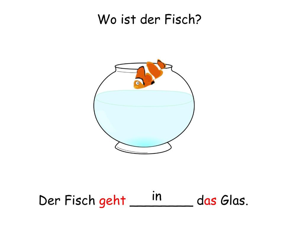 Wo ist der Fisch in Der Fisch geht ________ das Glas.
