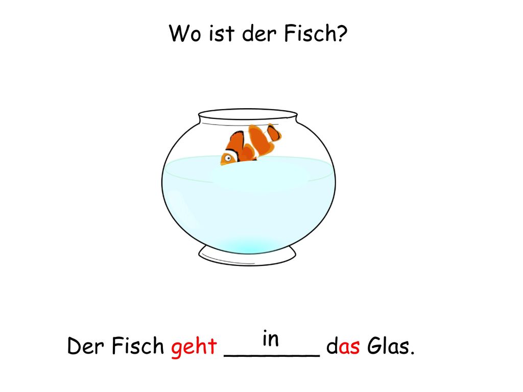 Wo ist der Fisch in Der Fisch geht _______ das Glas.