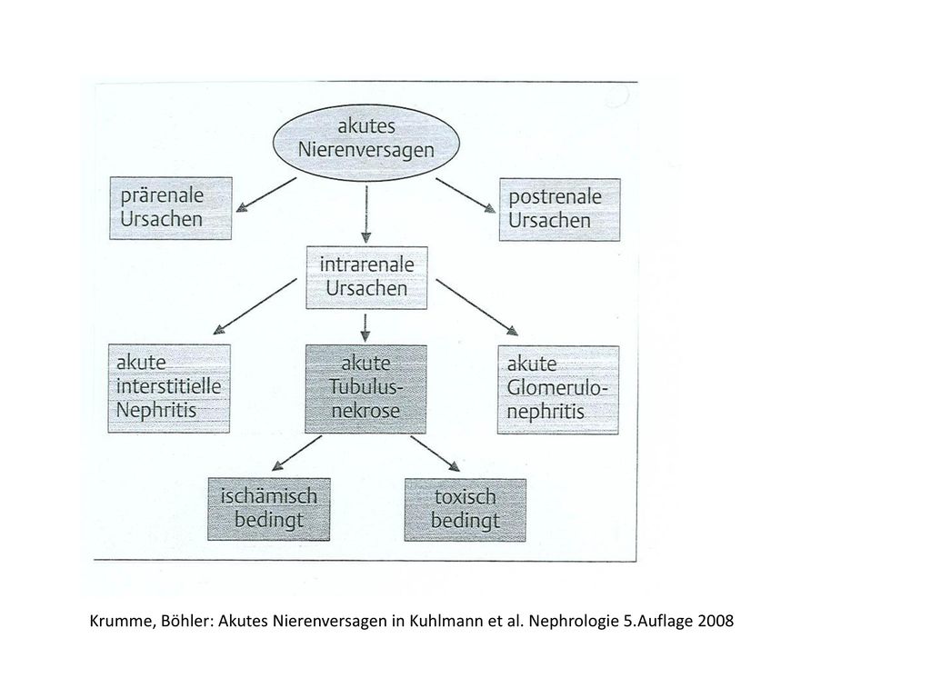 Krumme, Böhler: Akutes Nierenversagen in Kuhlmann et al. Nephrologie 5