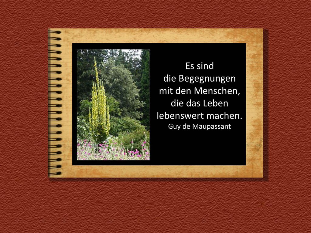 Es sind die Begegnungen mit den Menschen, die das Leben