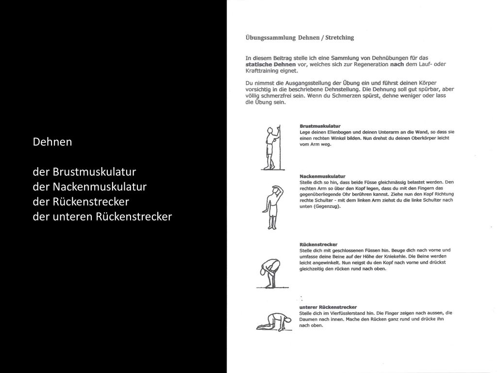 Dehnen der Brustmuskulatur der Nackenmuskulatur der Rückenstrecker der unteren Rückenstrecker