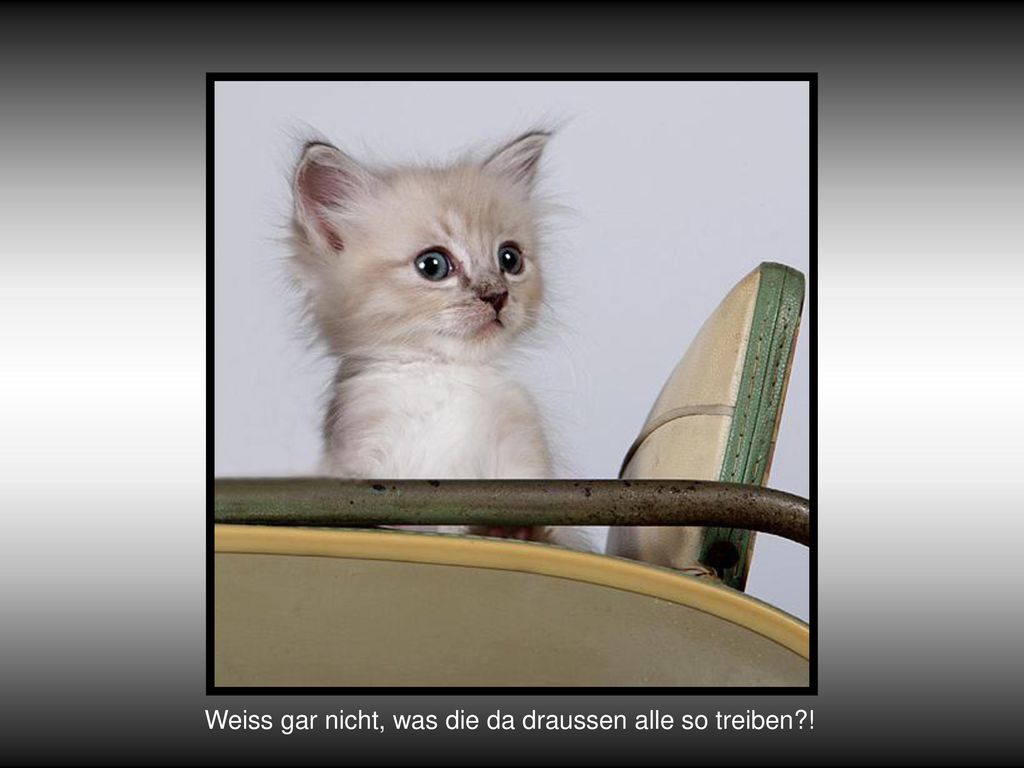 Weiss gar nicht, was die da draussen alle so treiben !