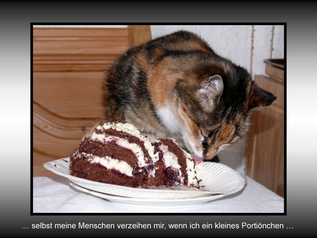 … selbst meine Menschen verzeihen mir, wenn ich ein kleines Portiönchen …