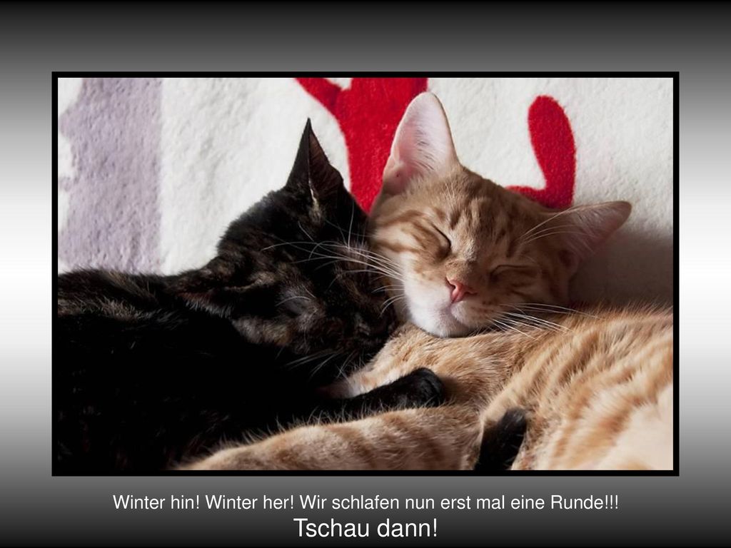 Winter hin! Winter her! Wir schlafen nun erst mal eine Runde!!!