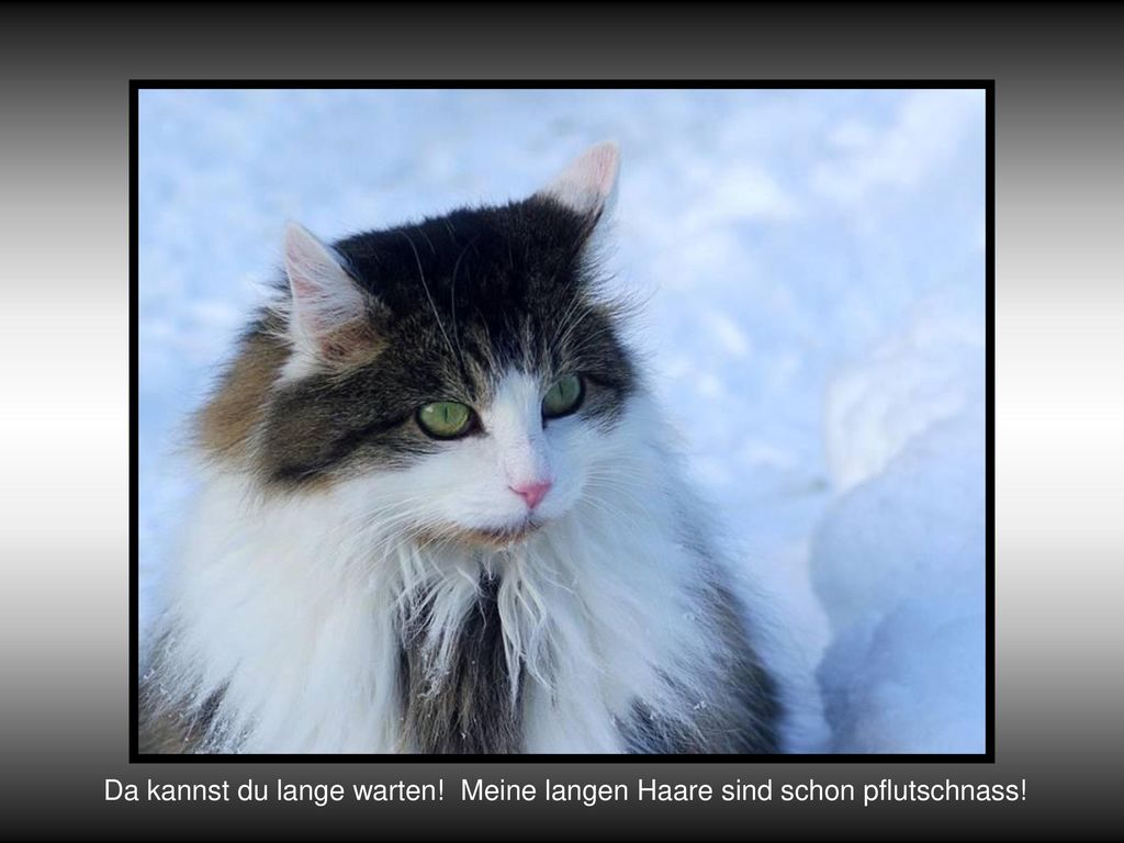 Da kannst du lange warten! Meine langen Haare sind schon pflutschnass!