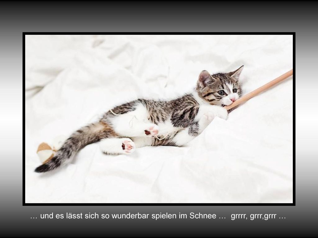 … und es lässt sich so wunderbar spielen im Schnee … grrrr, grrr,grrr …