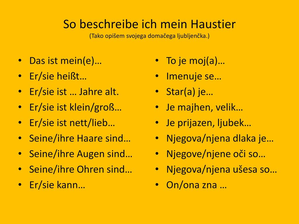 So beschreibe ich mein Haustier (Tako opišem svojega domačega ljubljenčka.)