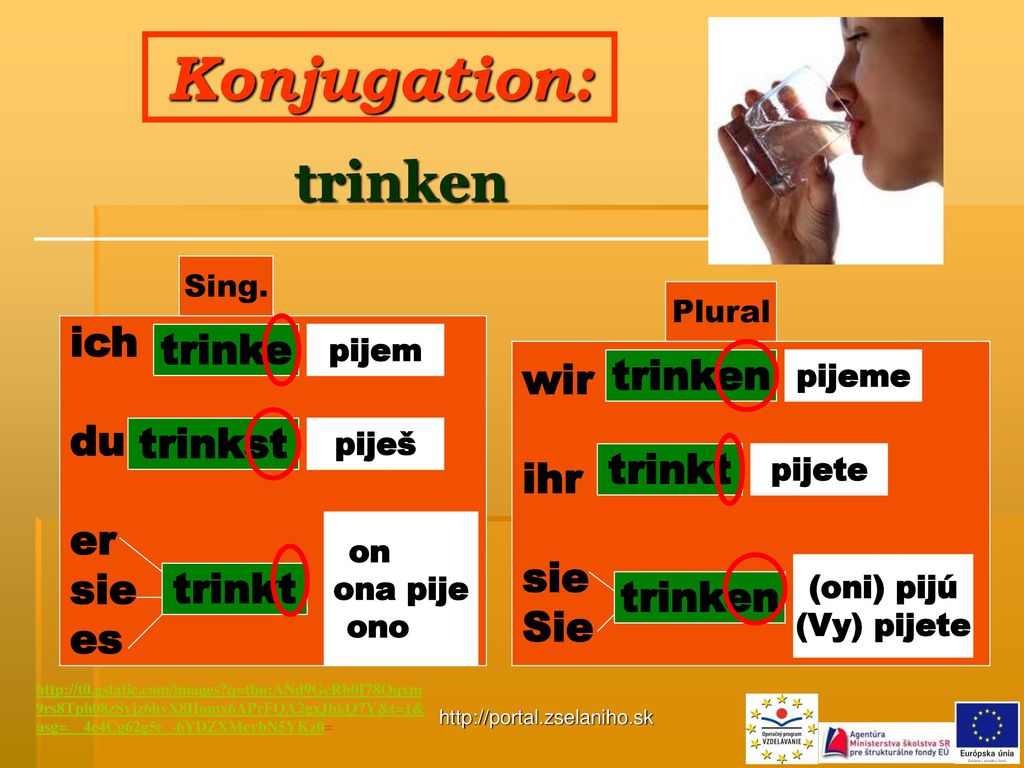 Konjugation: trinken ich trinke wir trinken du ihr er trinkst sie sie