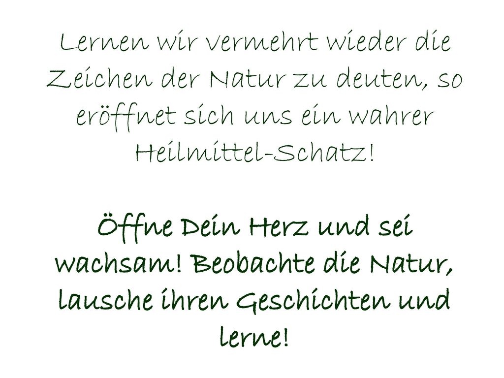 Lernen wir vermehrt wieder die Zeichen der Natur zu deuten, so eröffnet sich uns ein wahrer Heilmittel-Schatz.