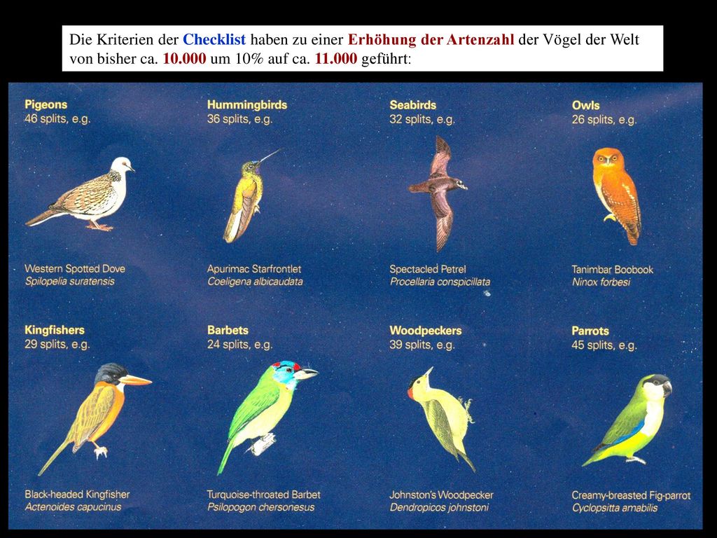 Die Kriterien der Checklist haben zu einer Erhöhung der Artenzahl der Vögel der Welt